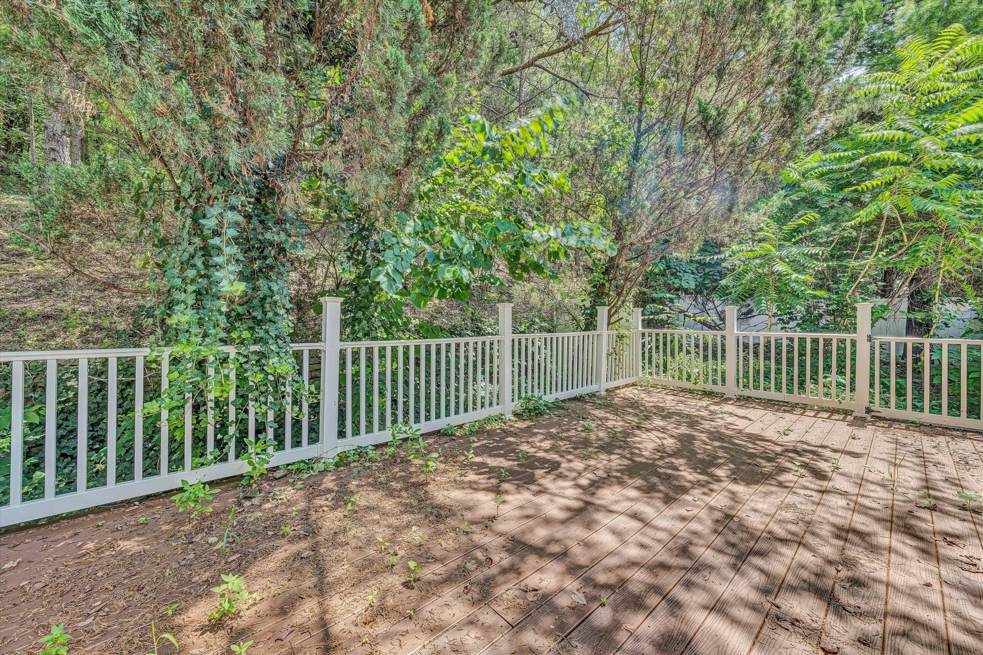 5224 Setter RD - Photo 25