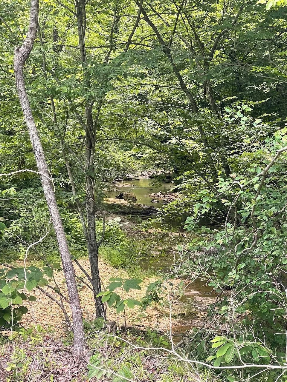 Tract A W Gretna RD - Photo 11