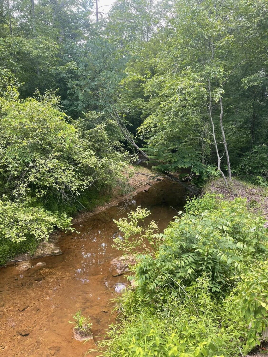 Tract A W Gretna RD - Photo 12