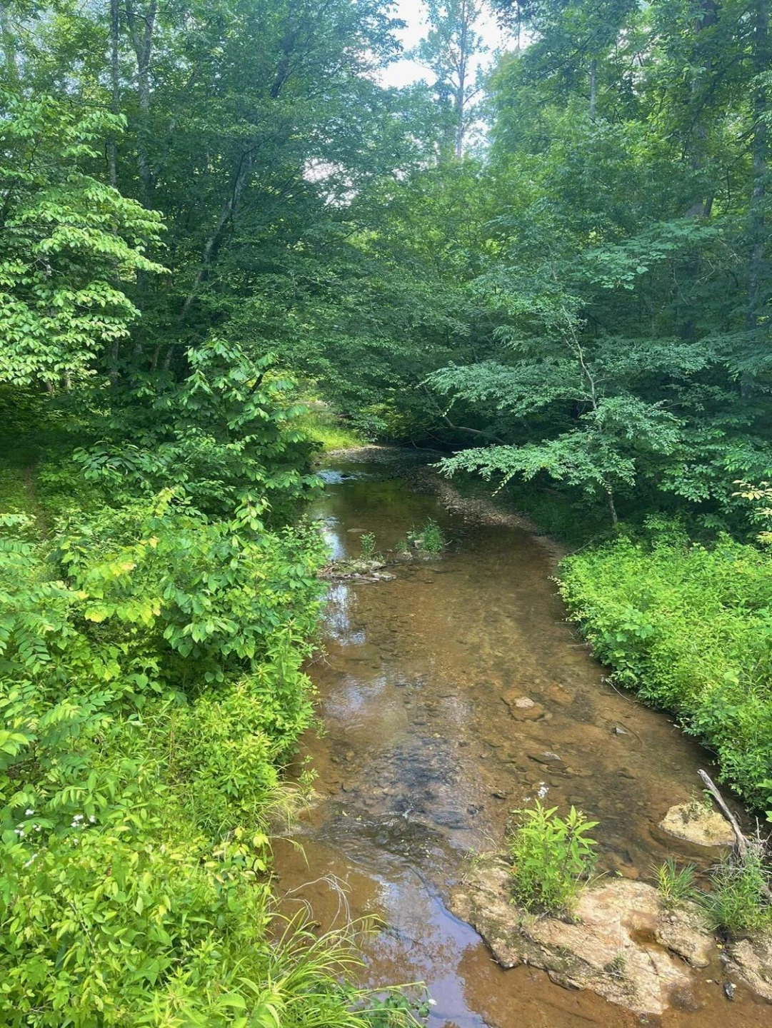 Tract A W Gretna RD - Photo 13