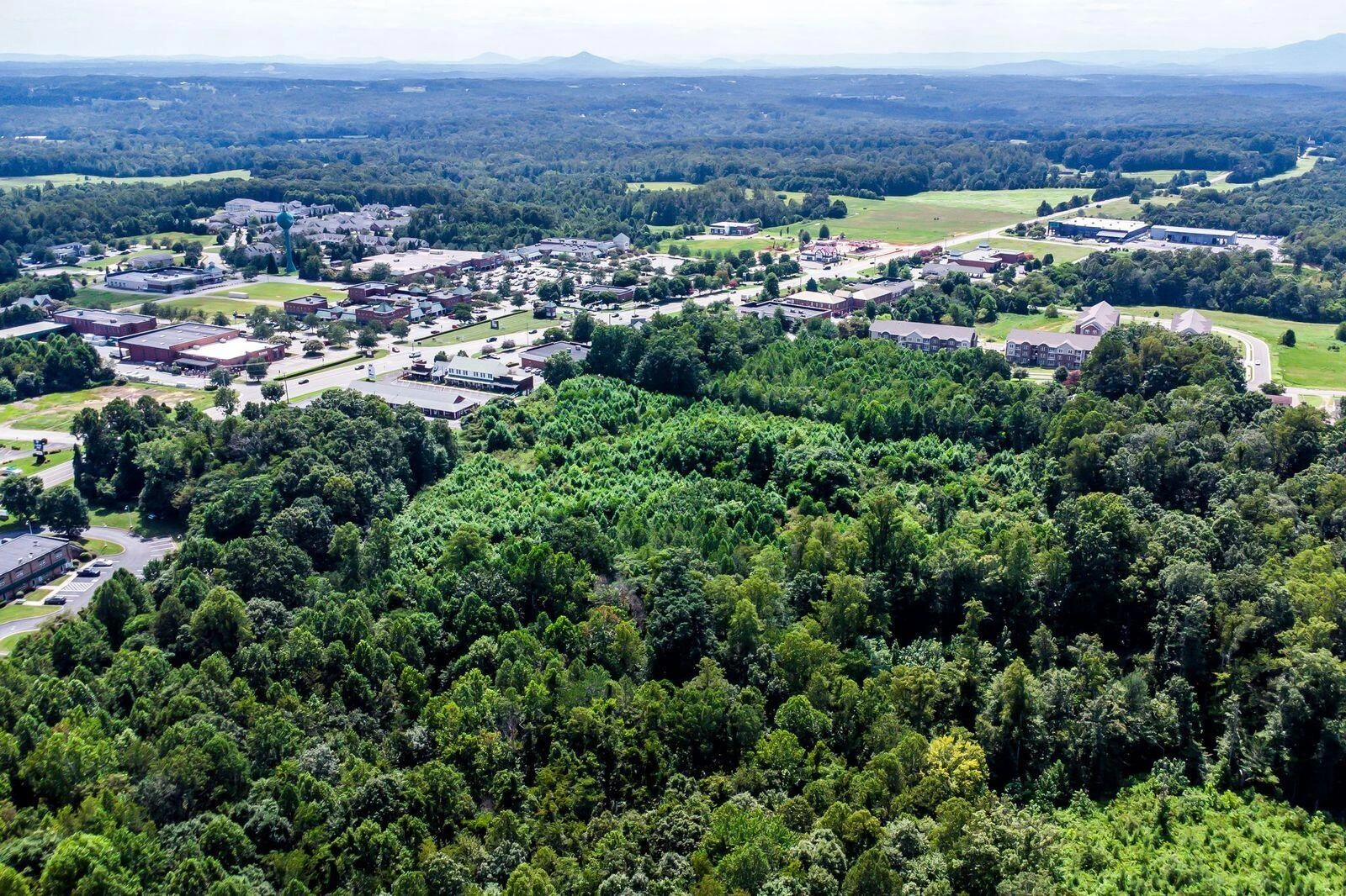 Lot 3 Booker T Washington Hwy - Photo 9