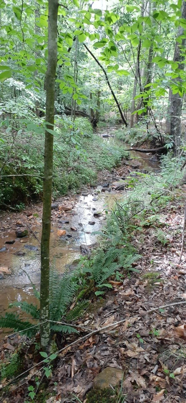 0 FESCUE CIR - Photo 2