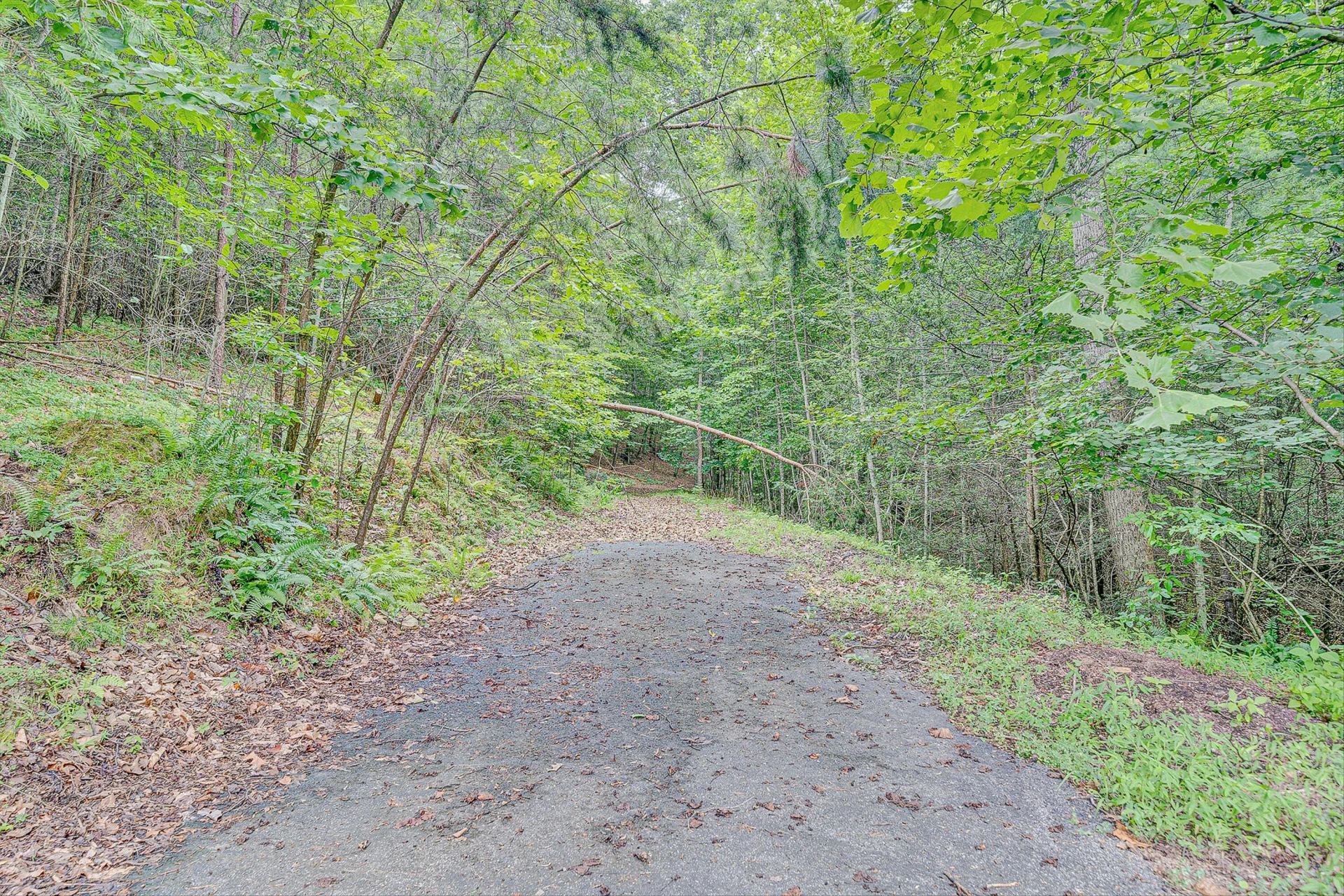 2517 Brandy Run DR - Photo 64