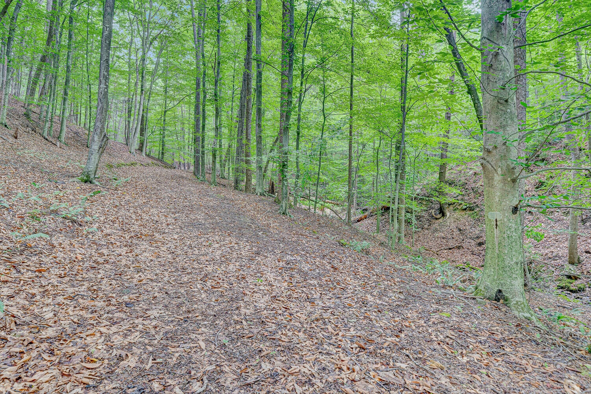 2517 Brandy Run DR - Photo 65