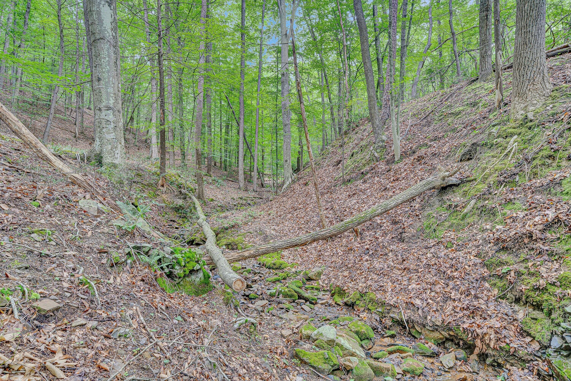 2517 Brandy Run DR - Photo 66