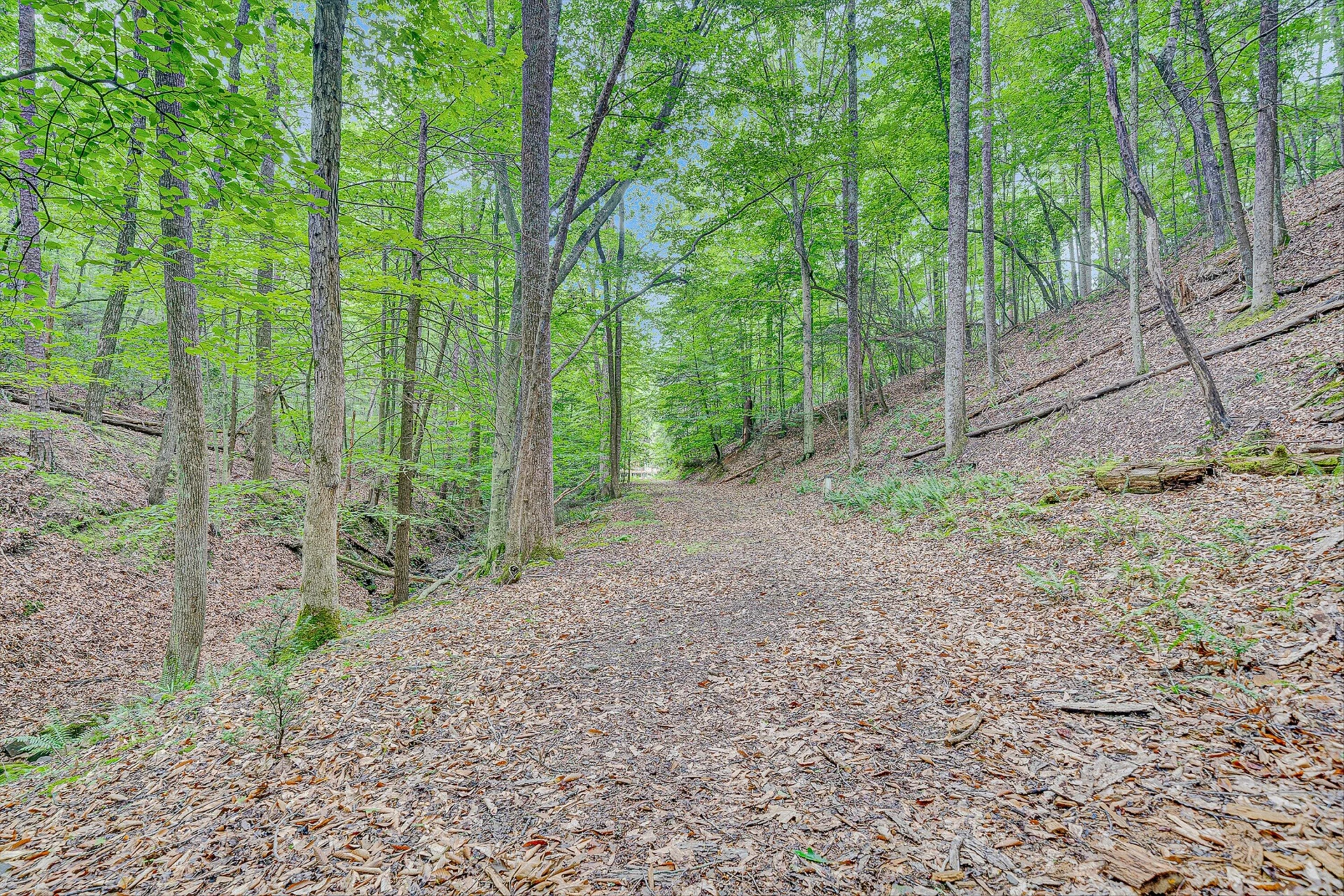 2517 Brandy Run DR - Photo 67
