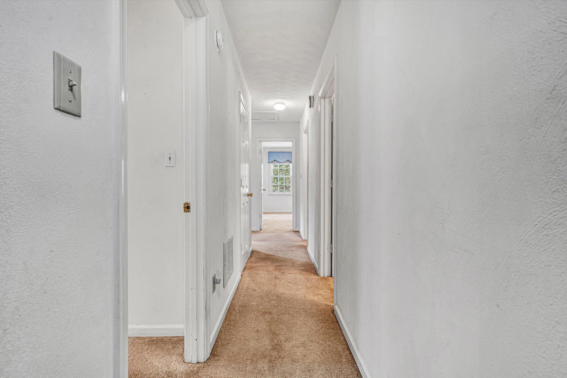 5666 Penguin DR - Photo 16