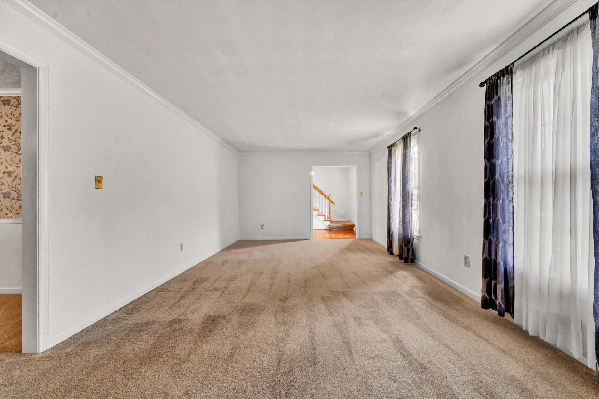 5666 Penguin DR - Photo 4