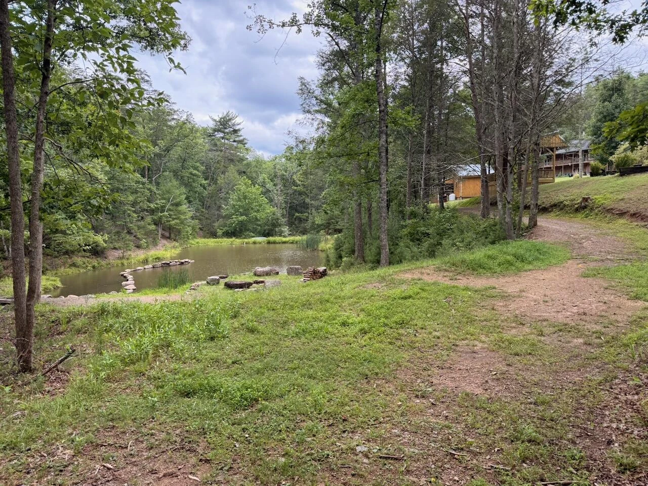 57 Hemlock Ridge LN - Photo 99