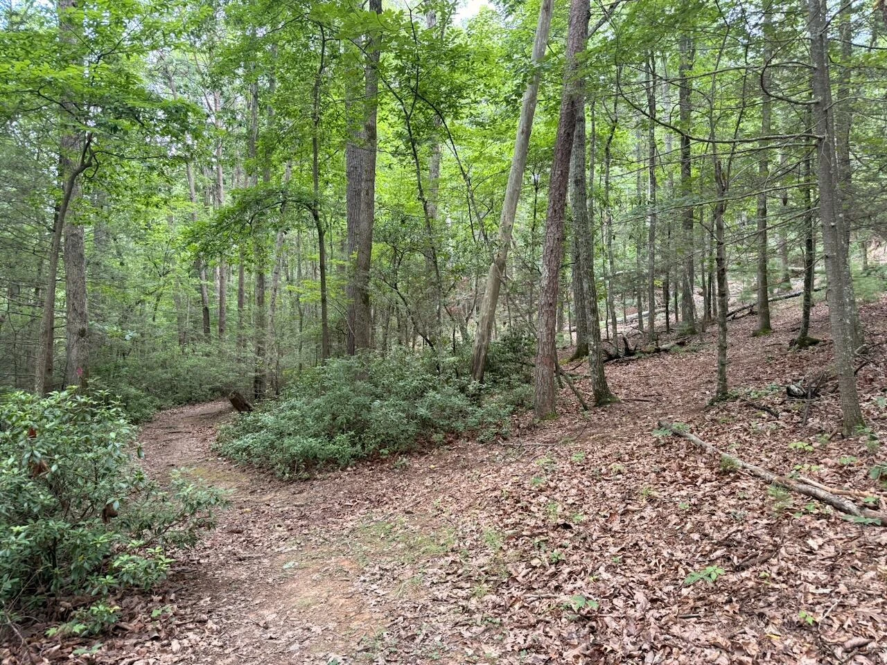 57 Hemlock Ridge LN - Photo 73
