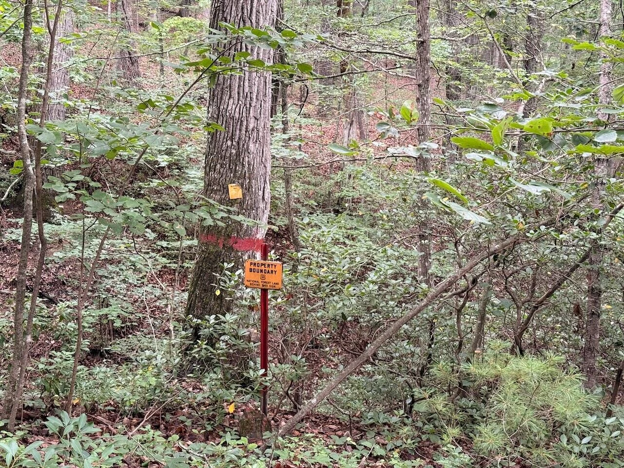 57 Hemlock Ridge LN - Photo 95