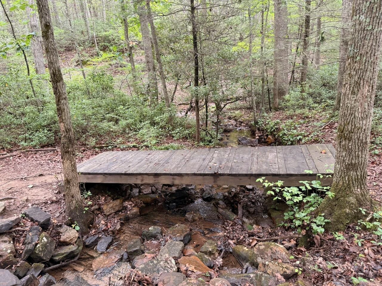 57 Hemlock Ridge LN - Photo 98