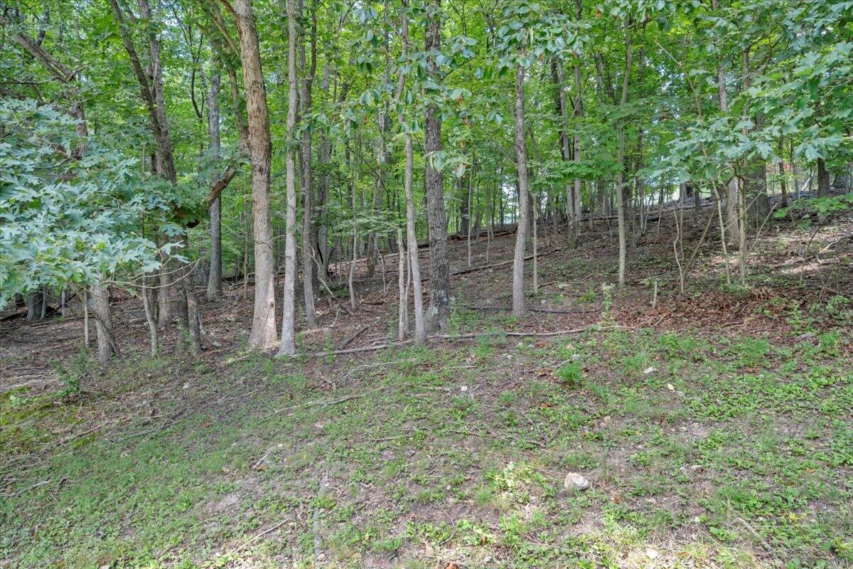 1514 Healing Springs RD - Photo 23