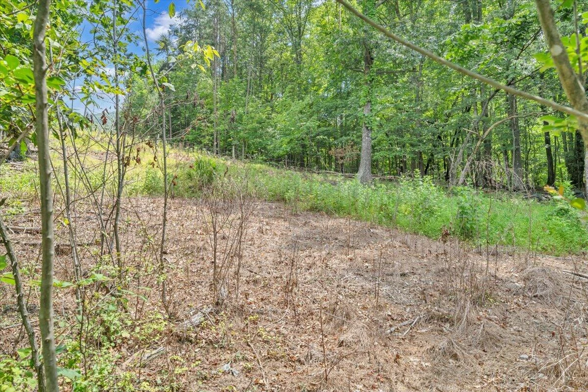 1514 Healing Springs RD - Photo 25