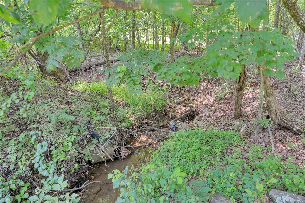 1514 Healing Springs RD - Photo 26