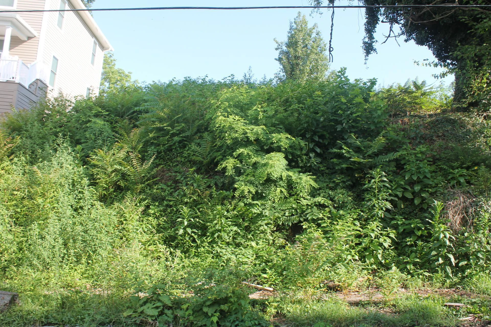 0 Church AVE SE - Photo 5