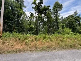 Lot 17 Whispering Heights DR, Hardy, VA, 24101