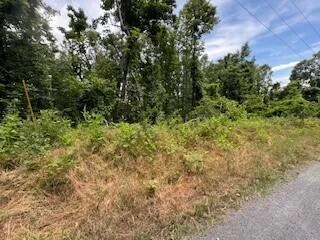 Lot 17 Whispering Heights DR - Photo 2