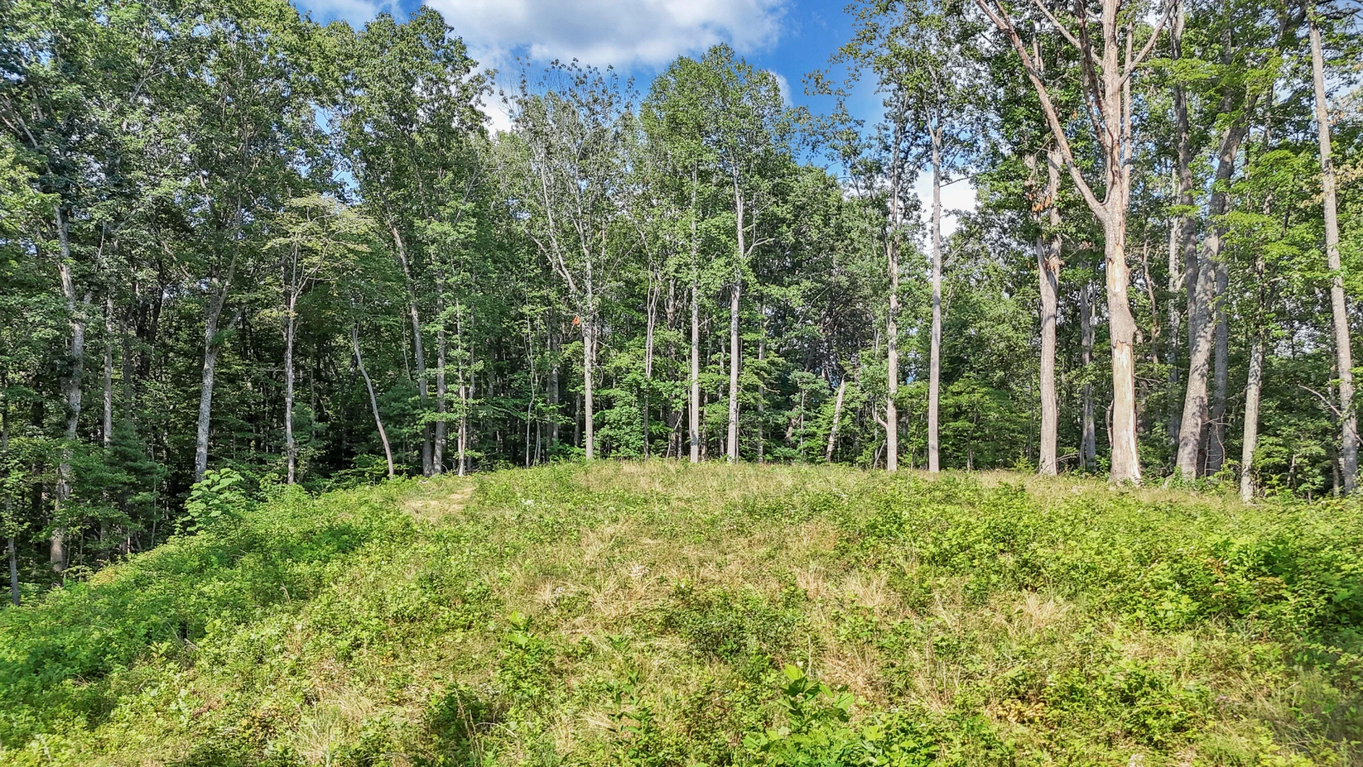 0 Little Catawba Creek RD - Photo 14