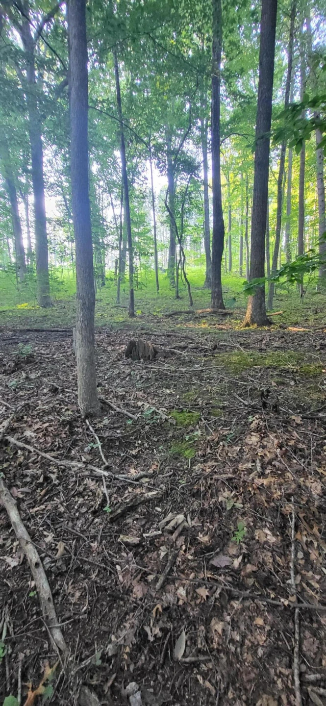 0 Little Catawba Creek RD - Photo 9