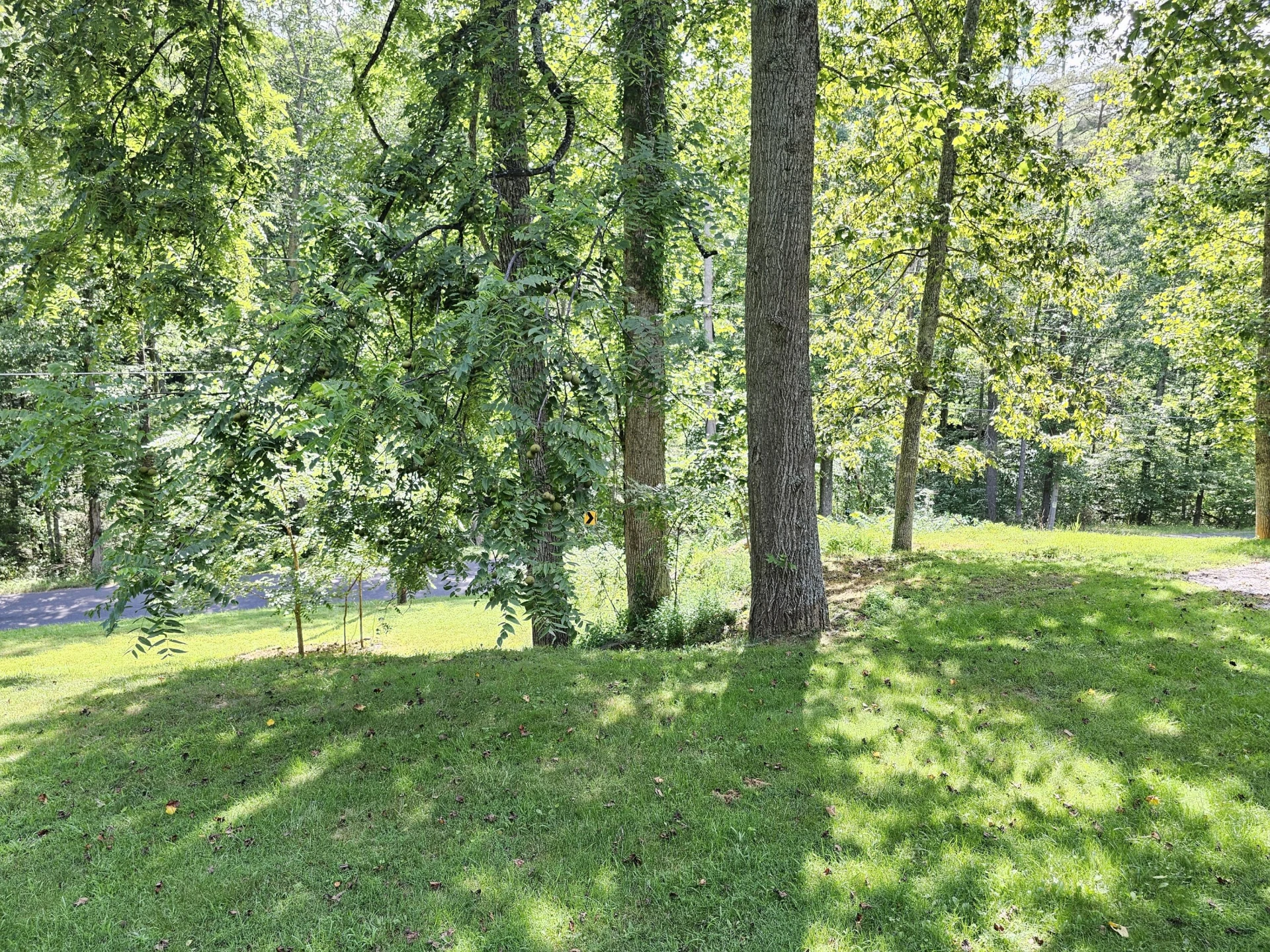 5283 Peaceful Valley RD - Photo 27