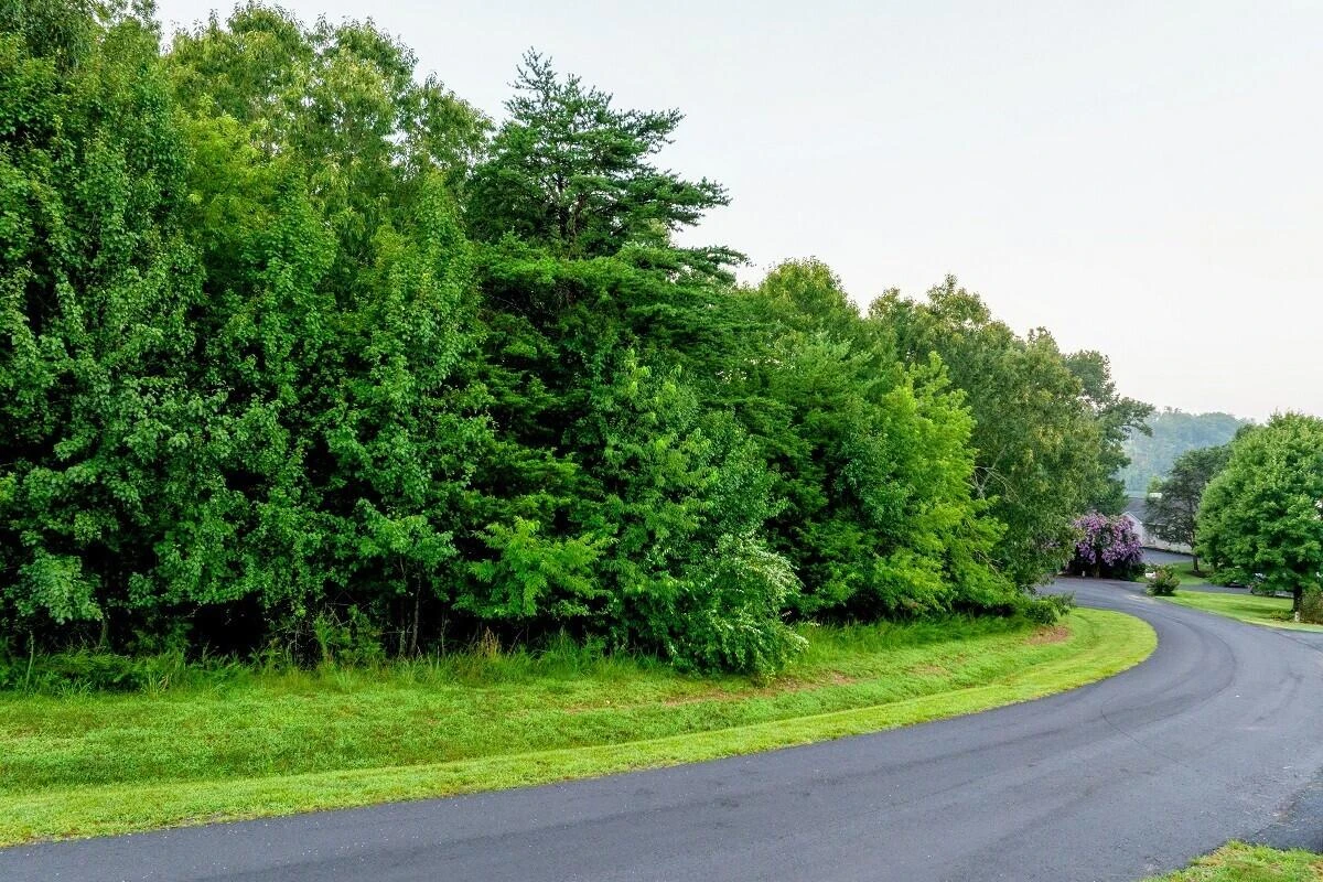 Lot 86 PRINCE PHILLIPS CT - Photo 14