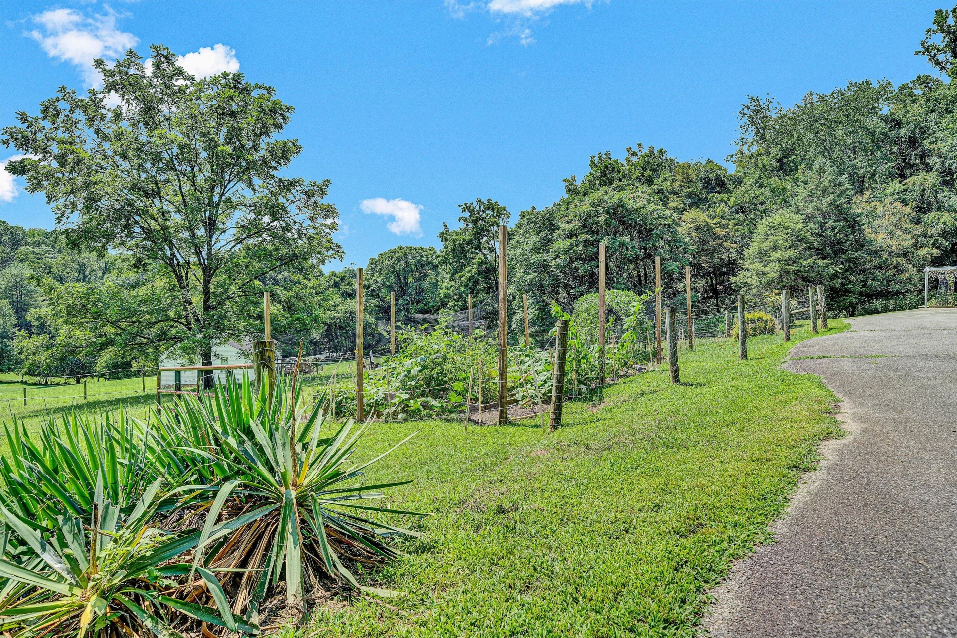 2332 Rutrough RD SE - Photo 32