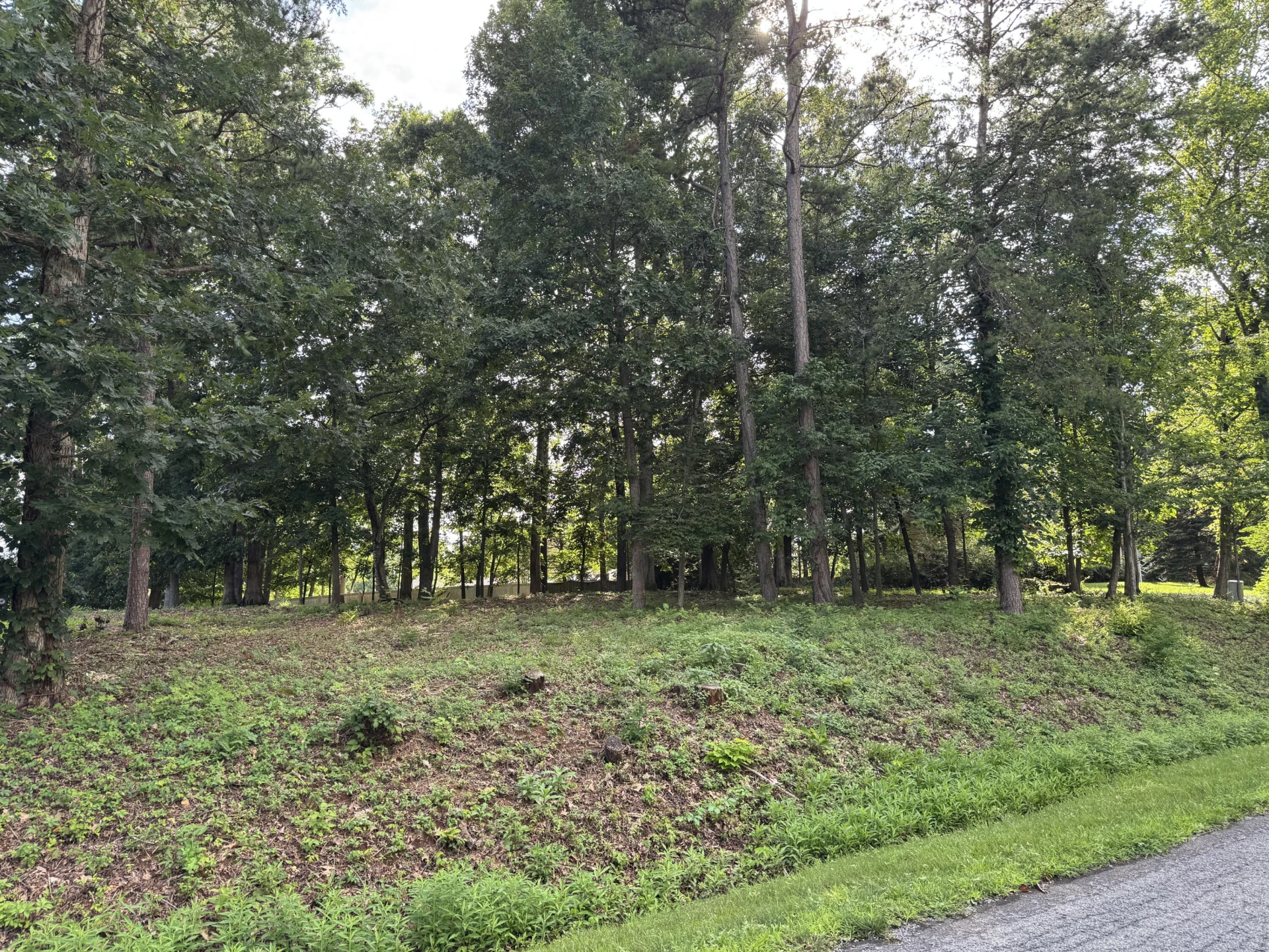 Lot 59 Macgregor DR