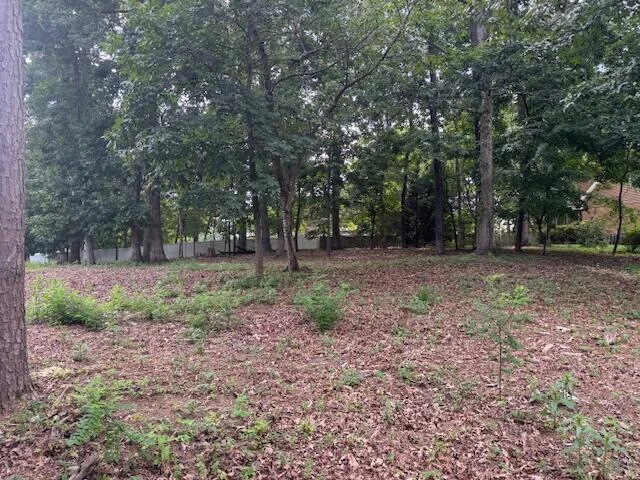 Lot 59 Macgregor DR - Photo 2