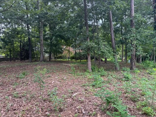 Lot 59 Macgregor DR - Photo 3