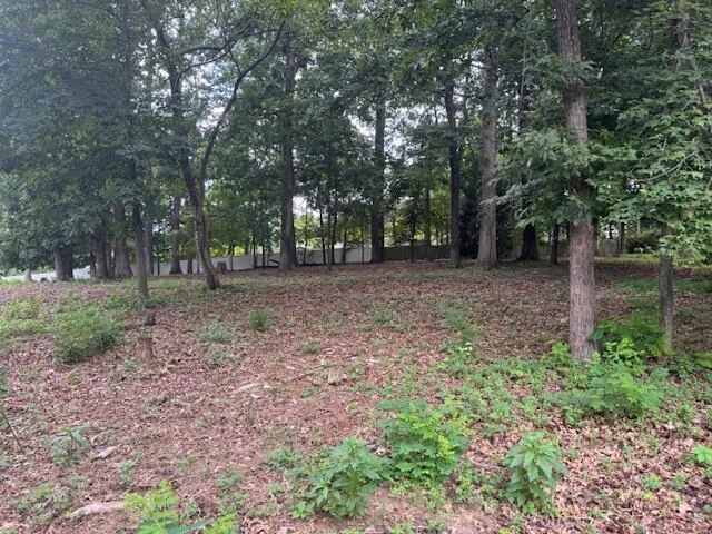 Lot 59 Macgregor DR - Photo 4