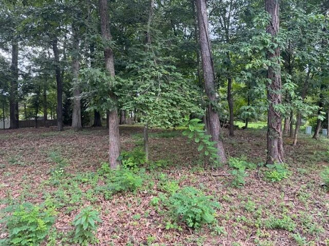 Lot 59 Macgregor DR - Photo 5