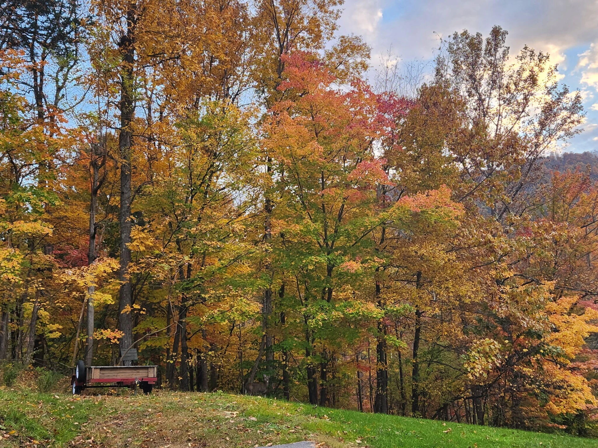 7526 Apple Grove LN SW - Photo 23