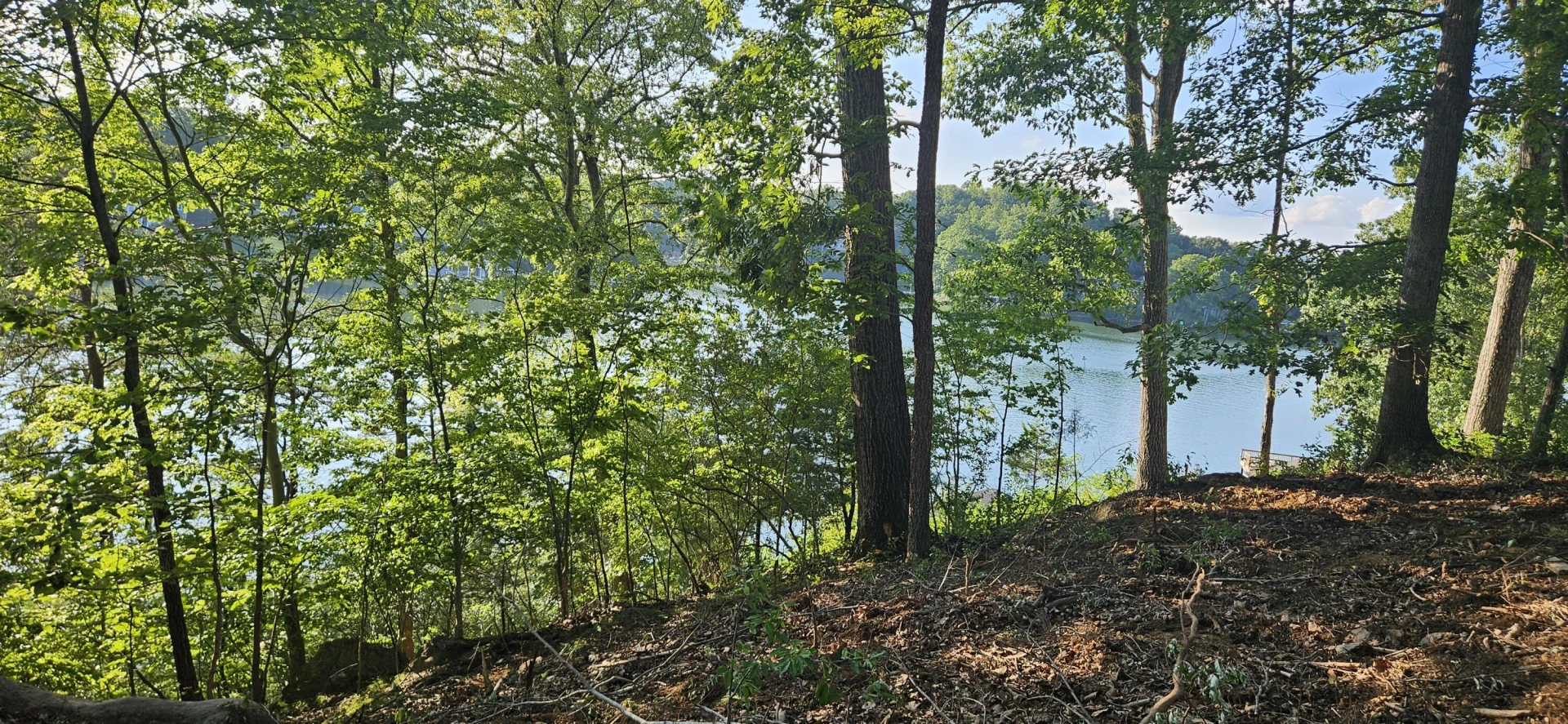 Lot 9 Longview Estates DR - Photo 11