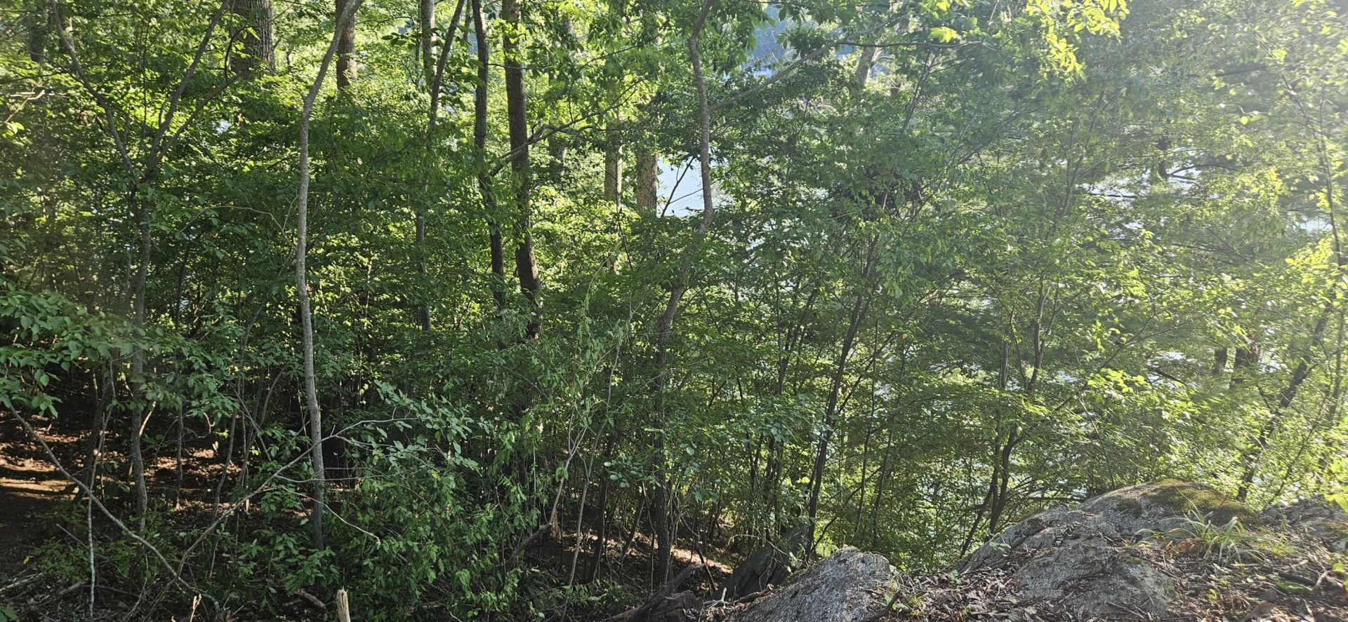 Lot 9 Longview Estates DR - Photo 12