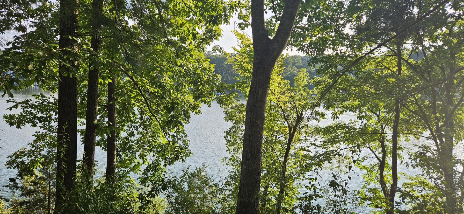 Lot 9 Longview Estates DR - Photo 14