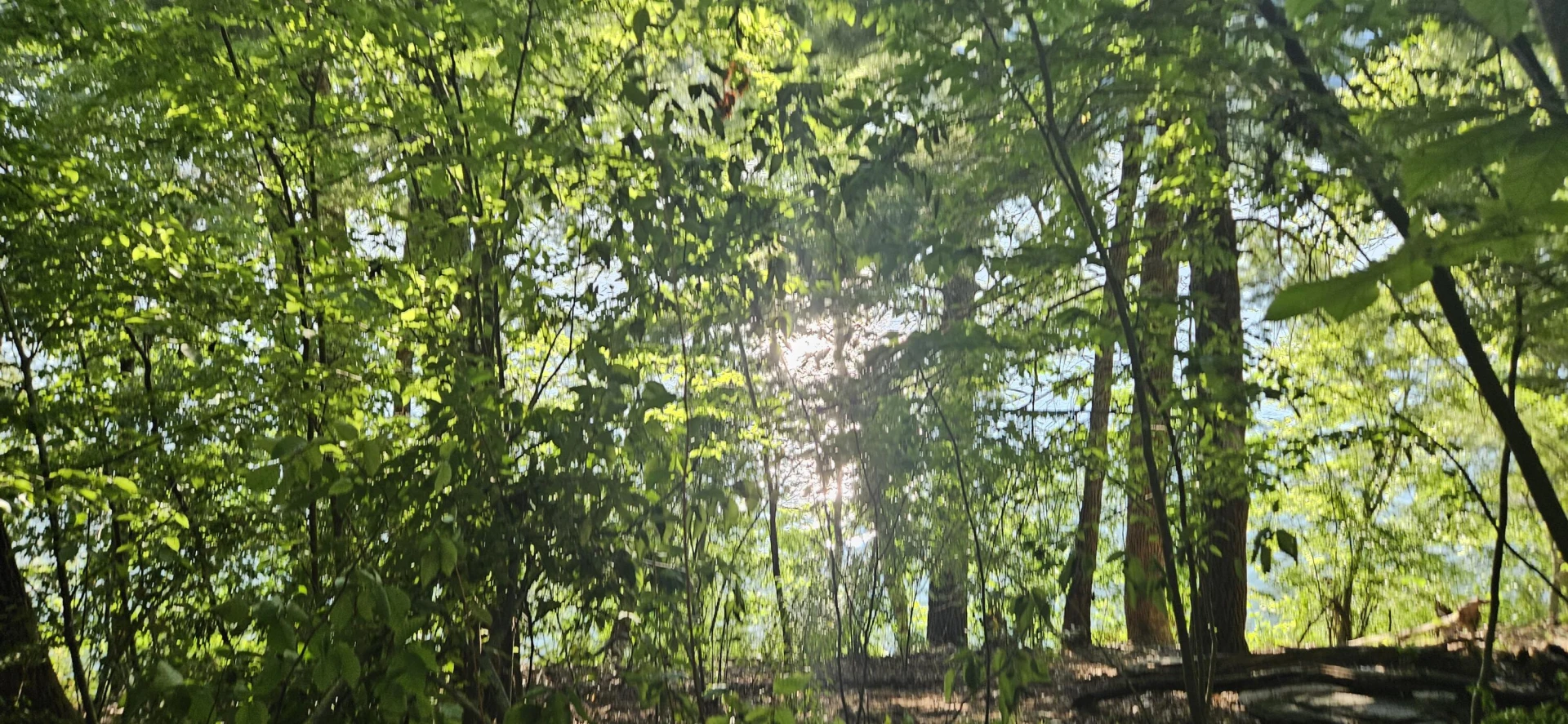 Lot 9 Longview Estates DR - Photo 18