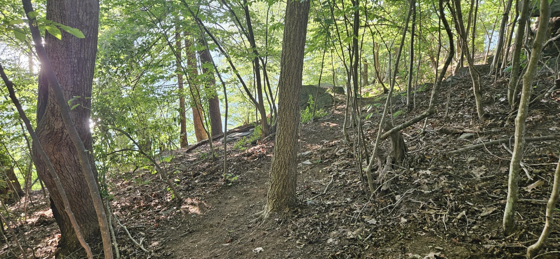Lot 9 Longview Estates DR - Photo 19