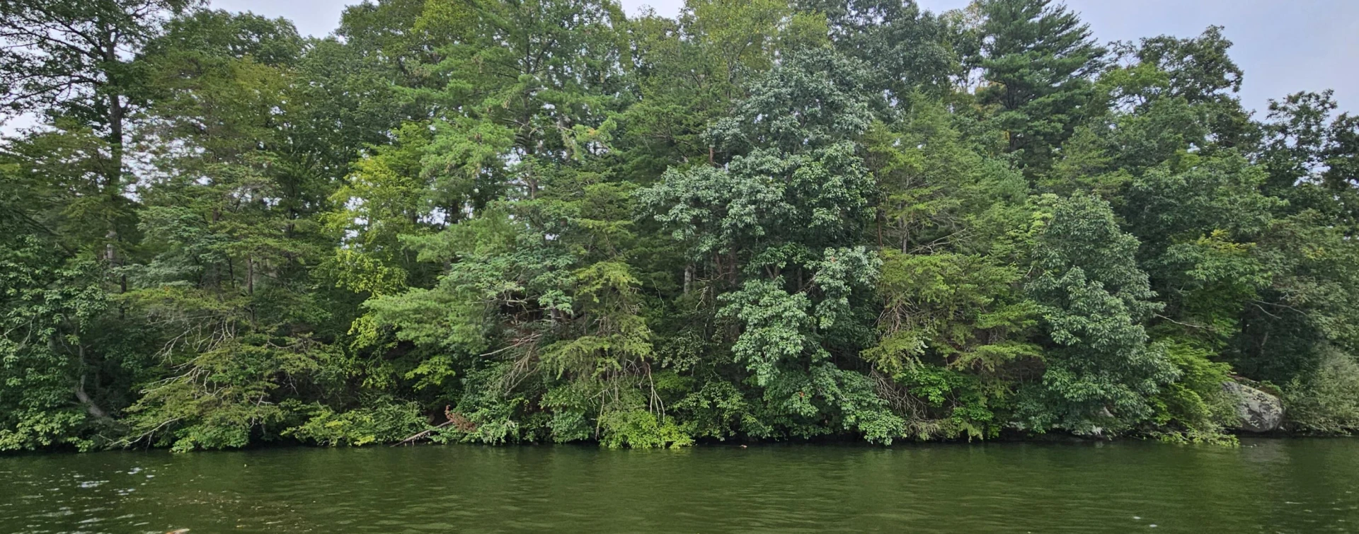 Lot 9 Longview Estates DR - Photo 2