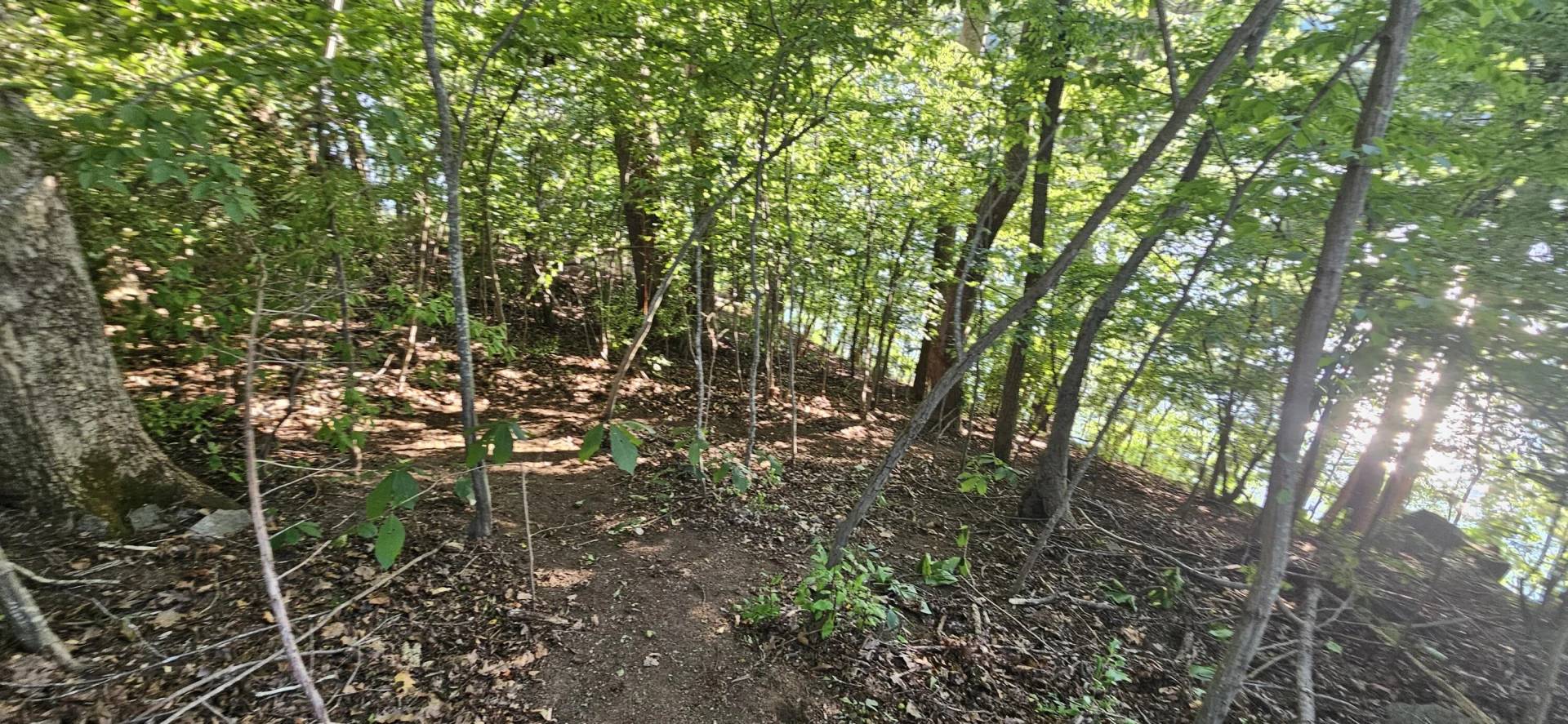 Lot 9 Longview Estates DR - Photo 22