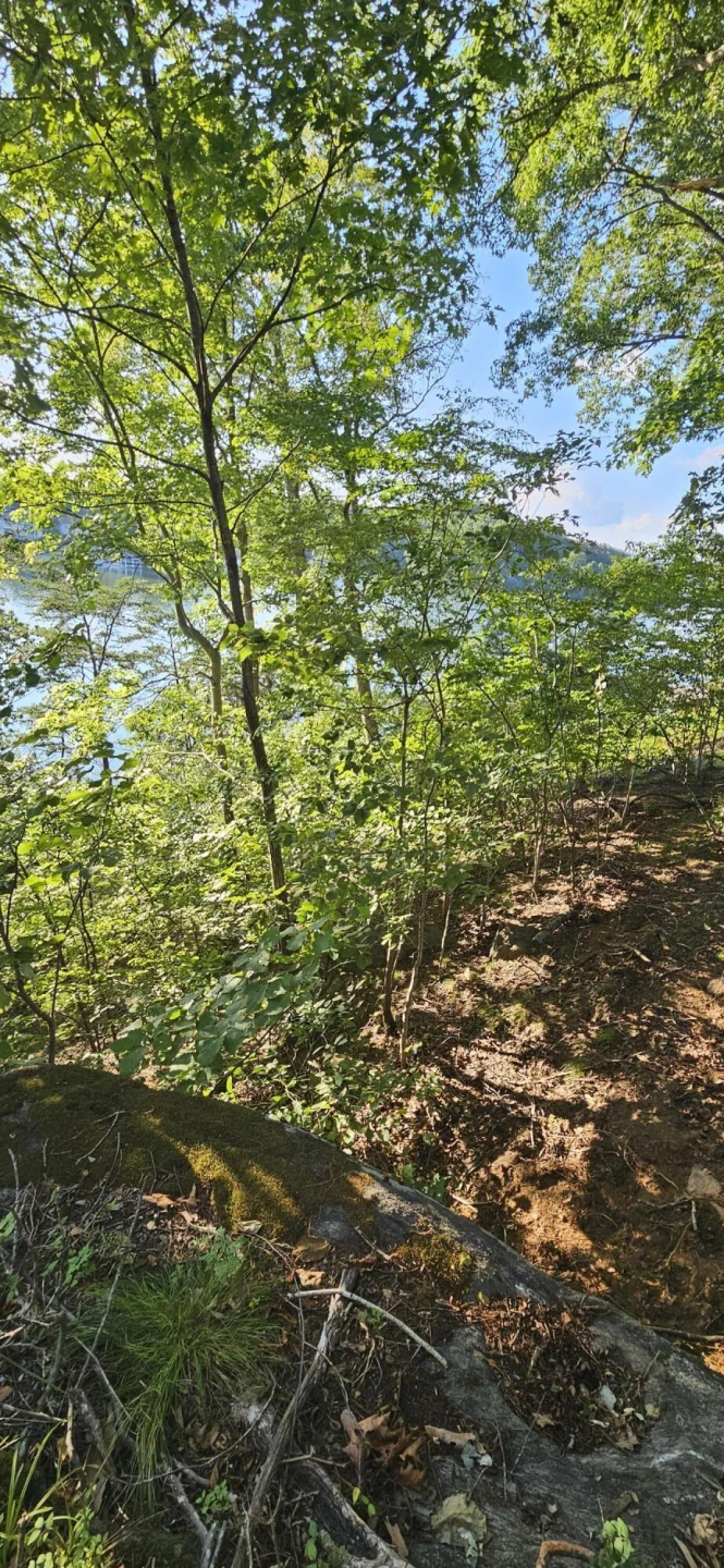 Lot 9 Longview Estates DR - Photo 28