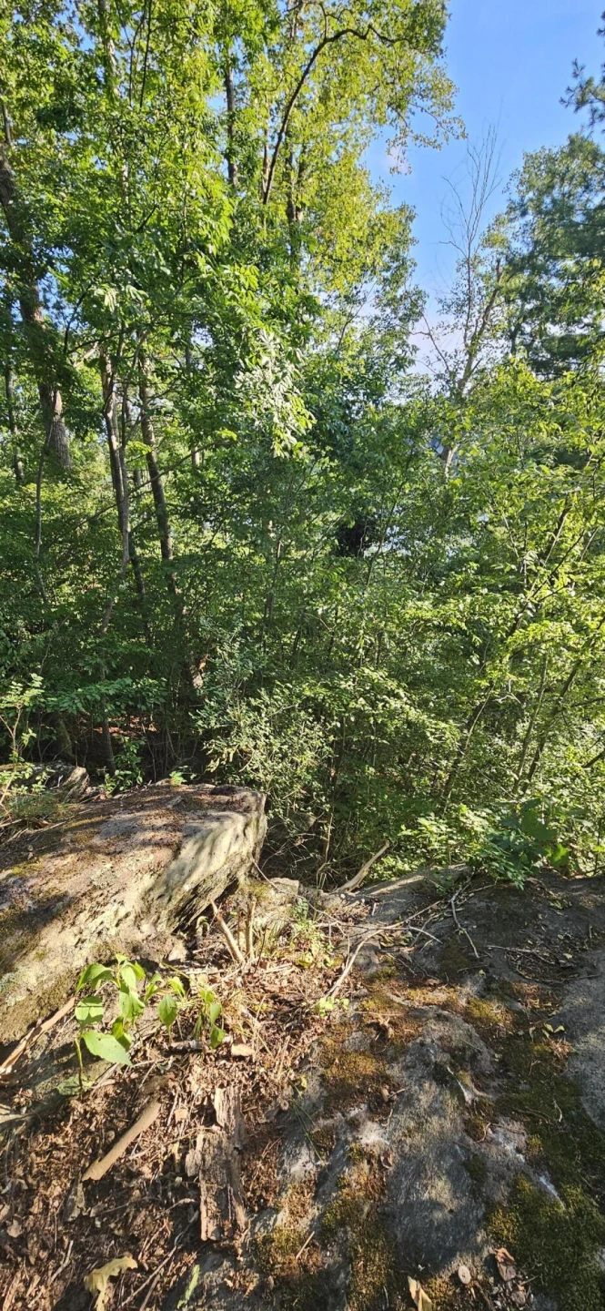 Lot 9 Longview Estates DR - Photo 29