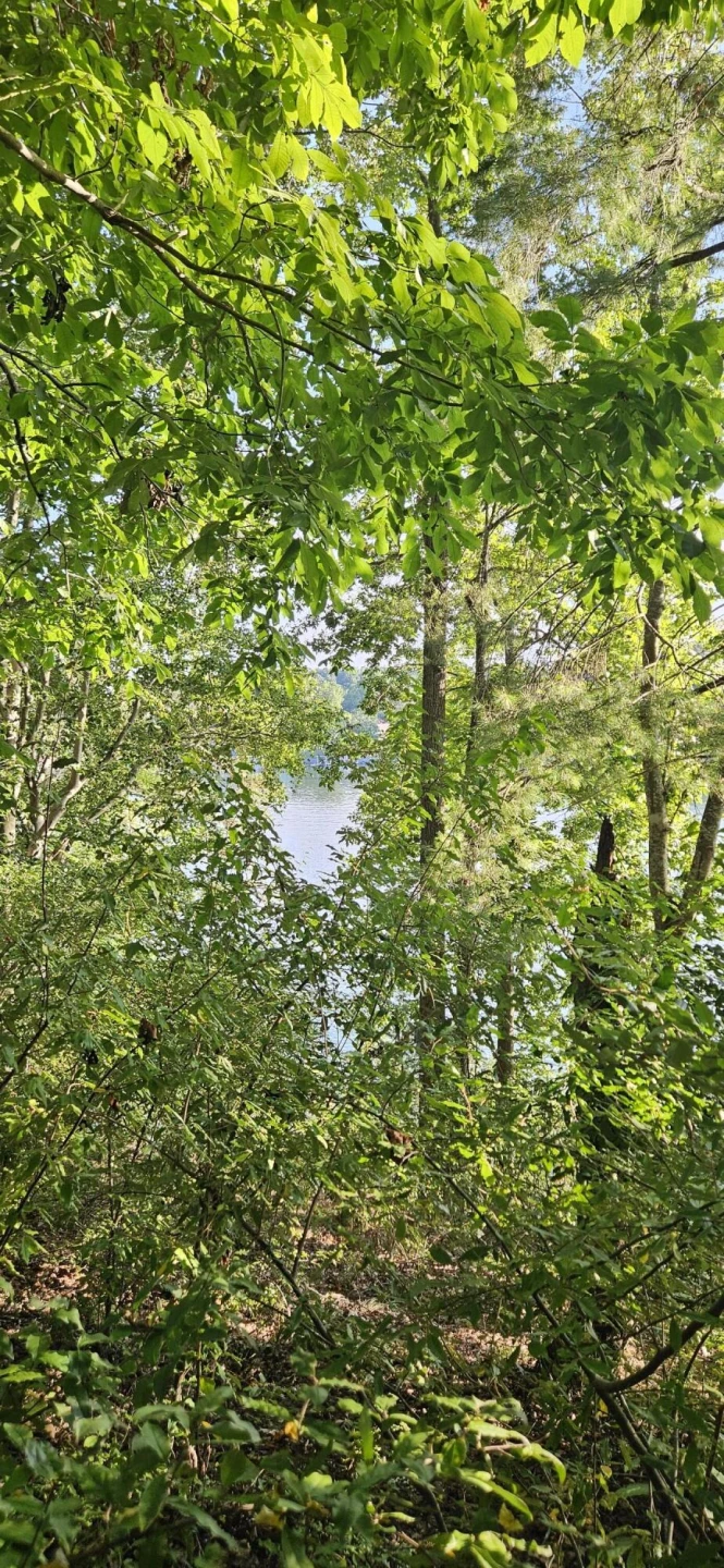 Lot 9 Longview Estates DR - Photo 33