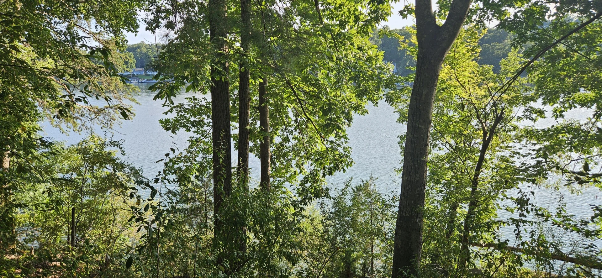 Lot 9 Longview Estates DR - Photo 34