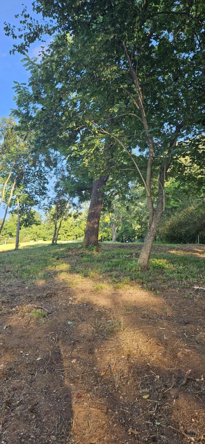 Lot 9 Longview Estates DR - Photo 40