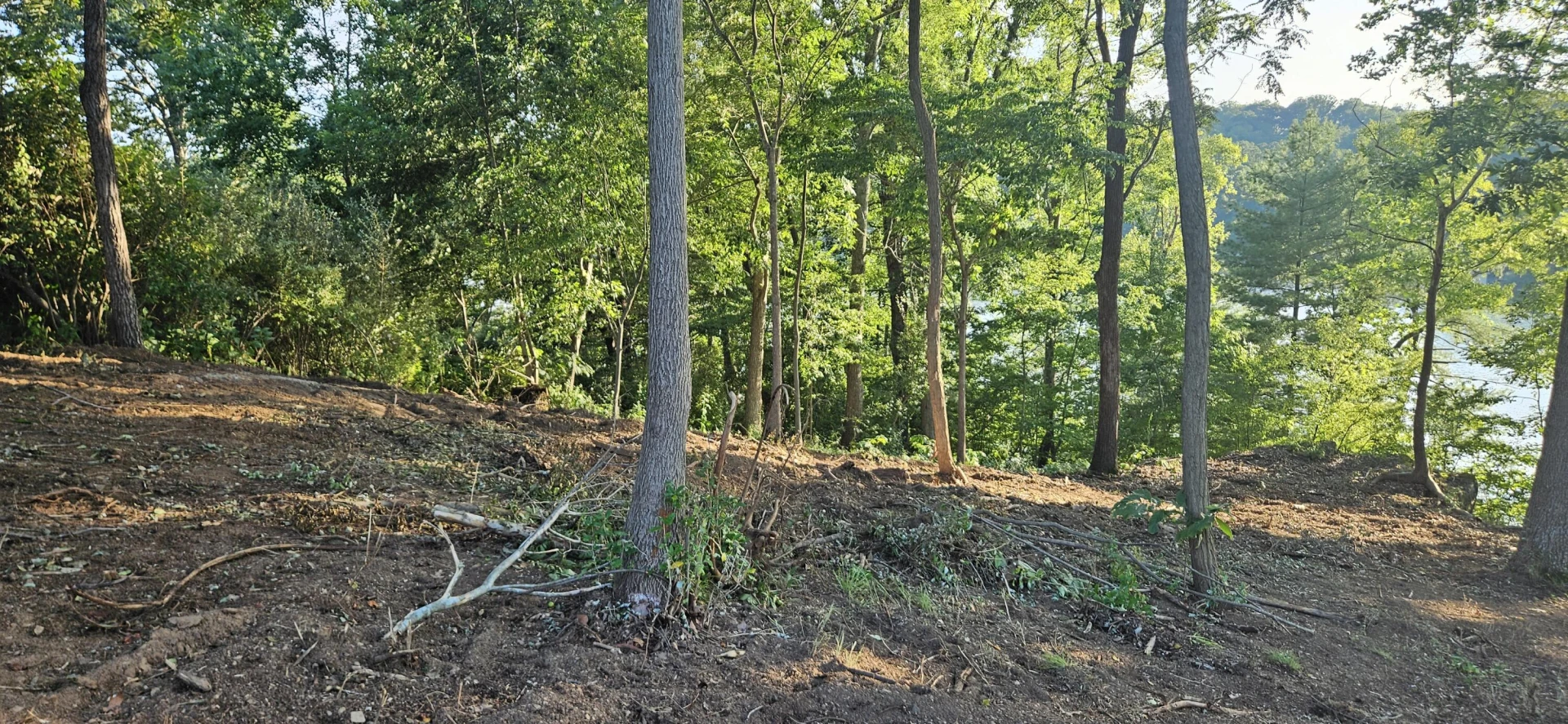 Lot 9 Longview Estates DR - Photo 42