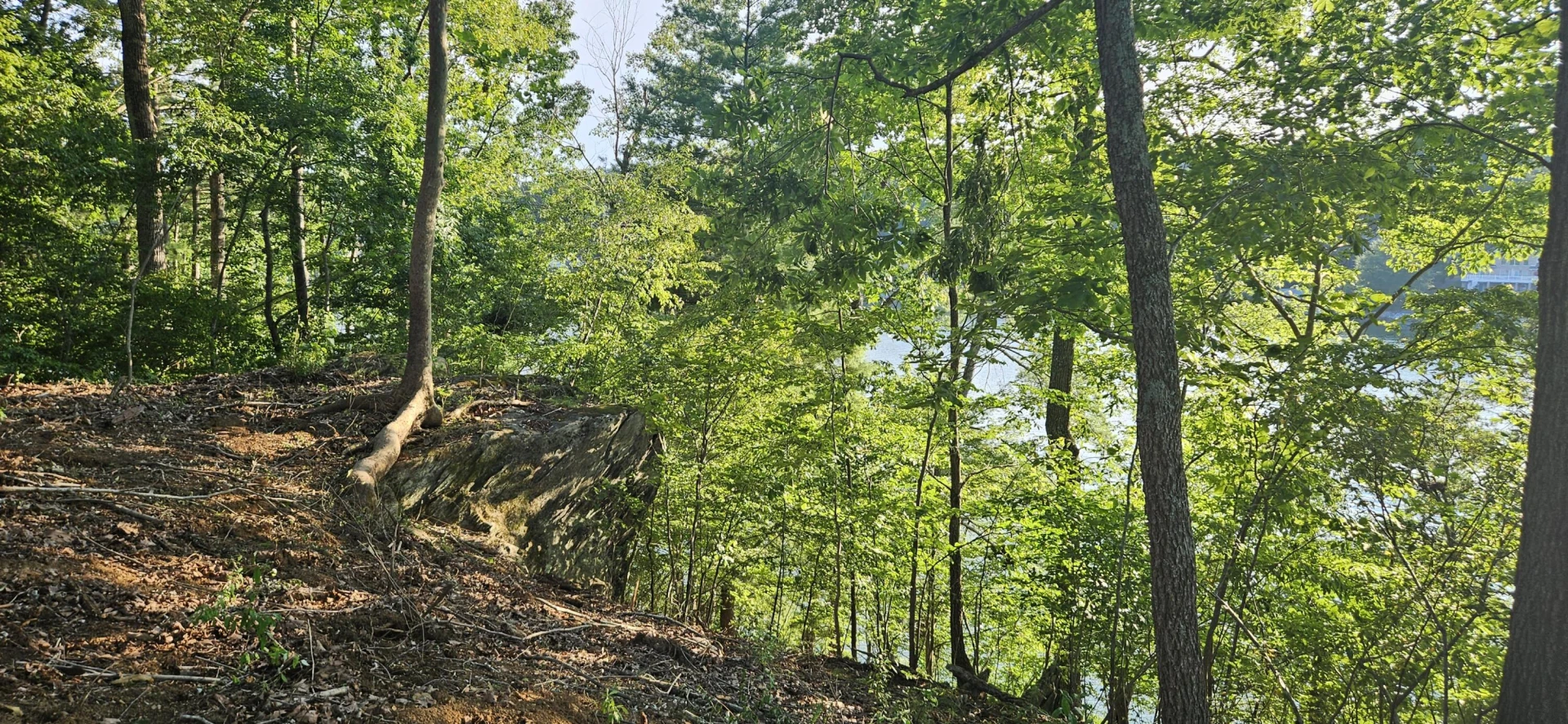 Lot 9 Longview Estates DR - Photo 44