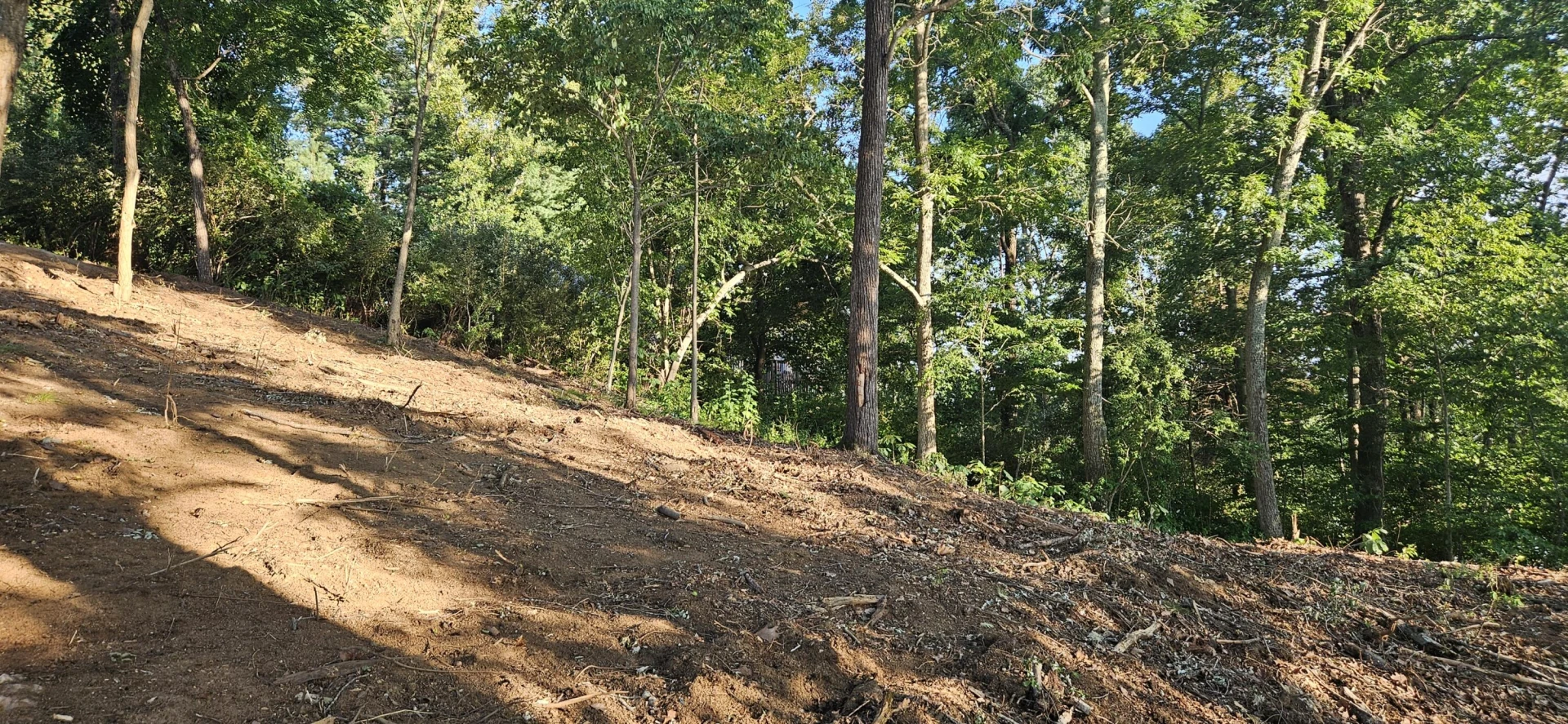 Lot 9 Longview Estates DR - Photo 45