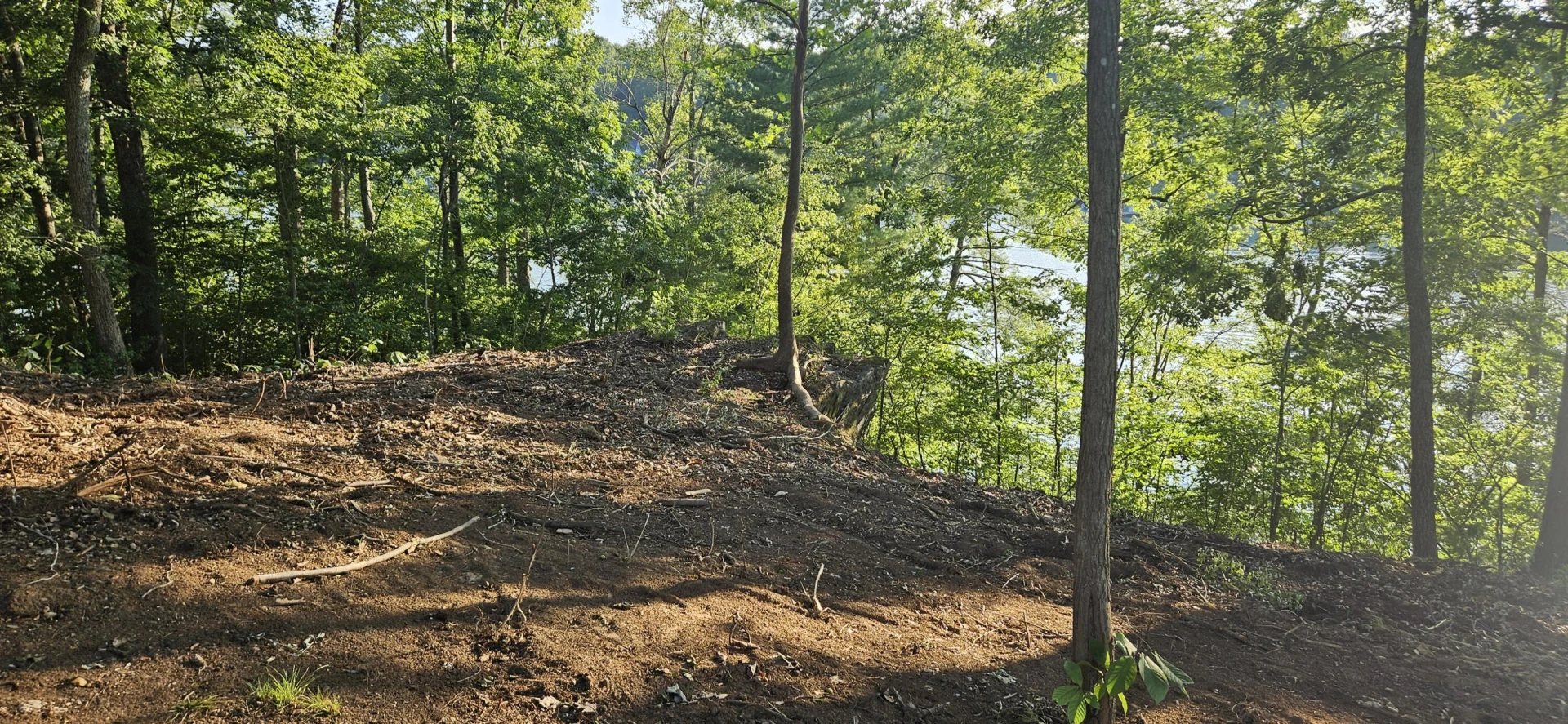 Lot 9 Longview Estates DR - Photo 46