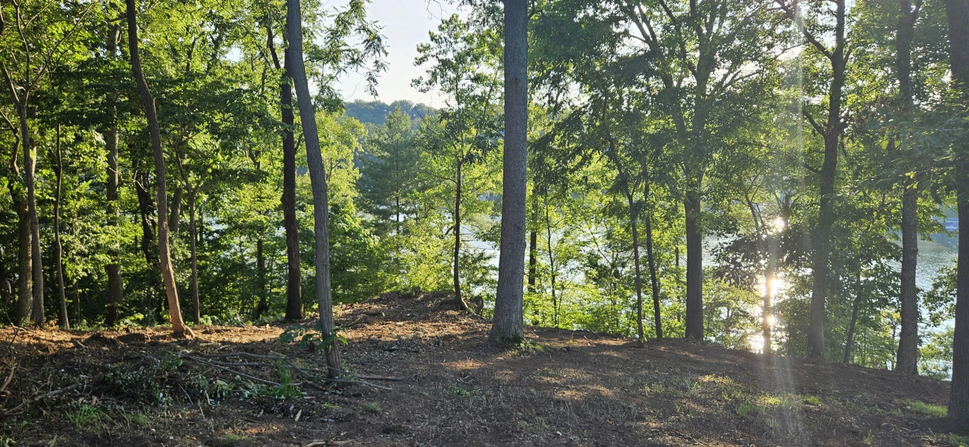 Lot 9 Longview Estates DR - Photo 47